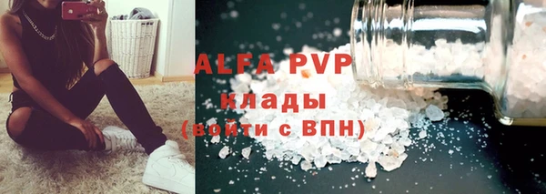 стаф Алексин