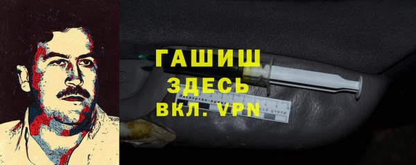 стаф Алексин