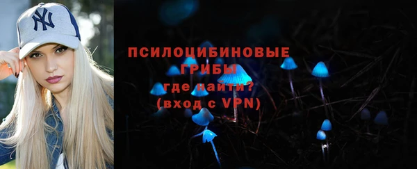 стаф Алексин