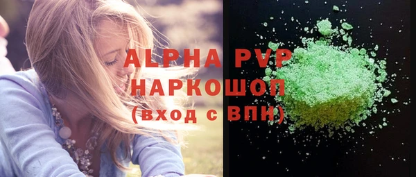 стаф Алексин